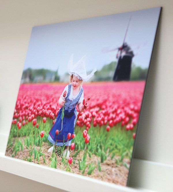 Foto op dibond - Veldhuizen Grafisch Effect - Barneveld